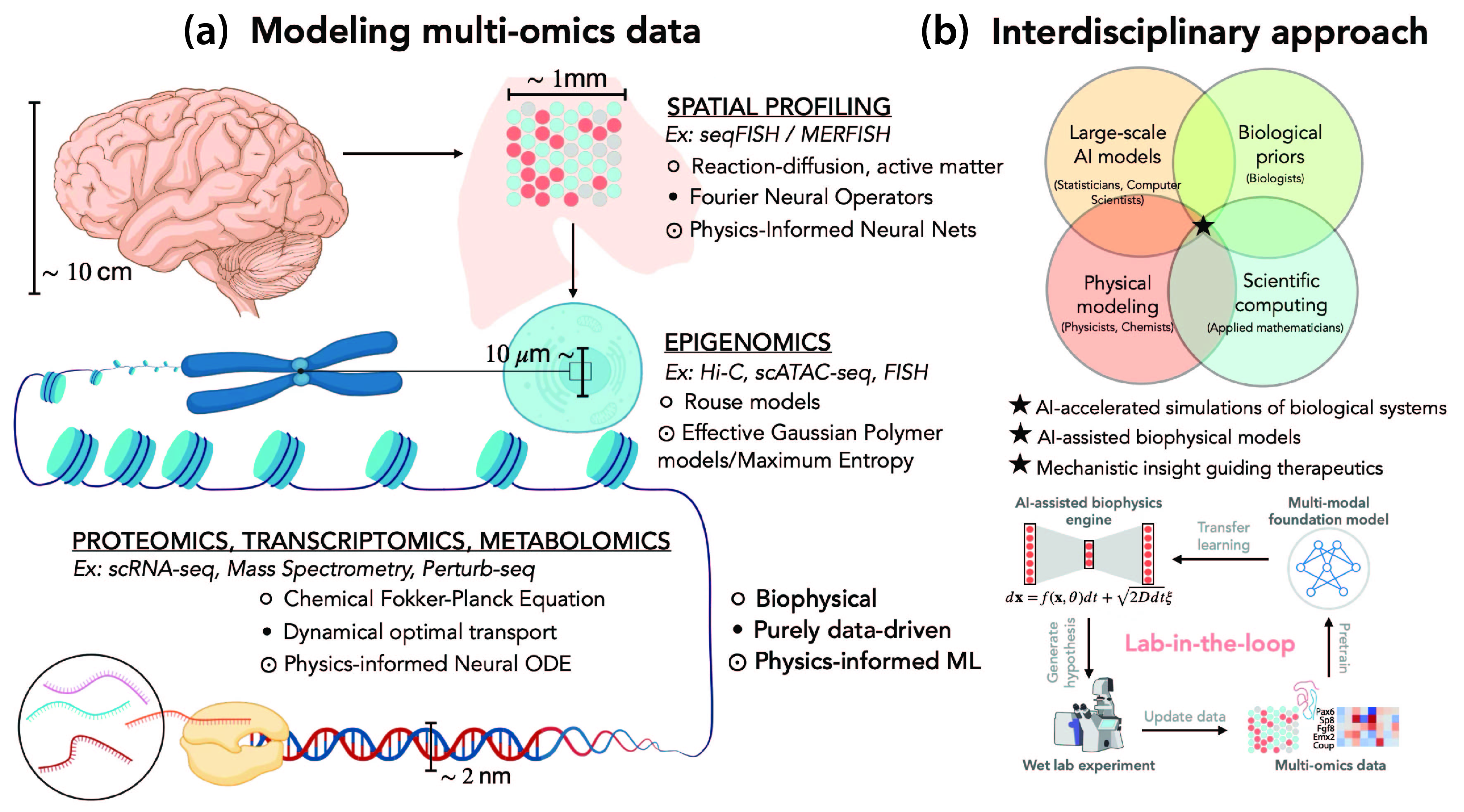 Biophysical modeling overview